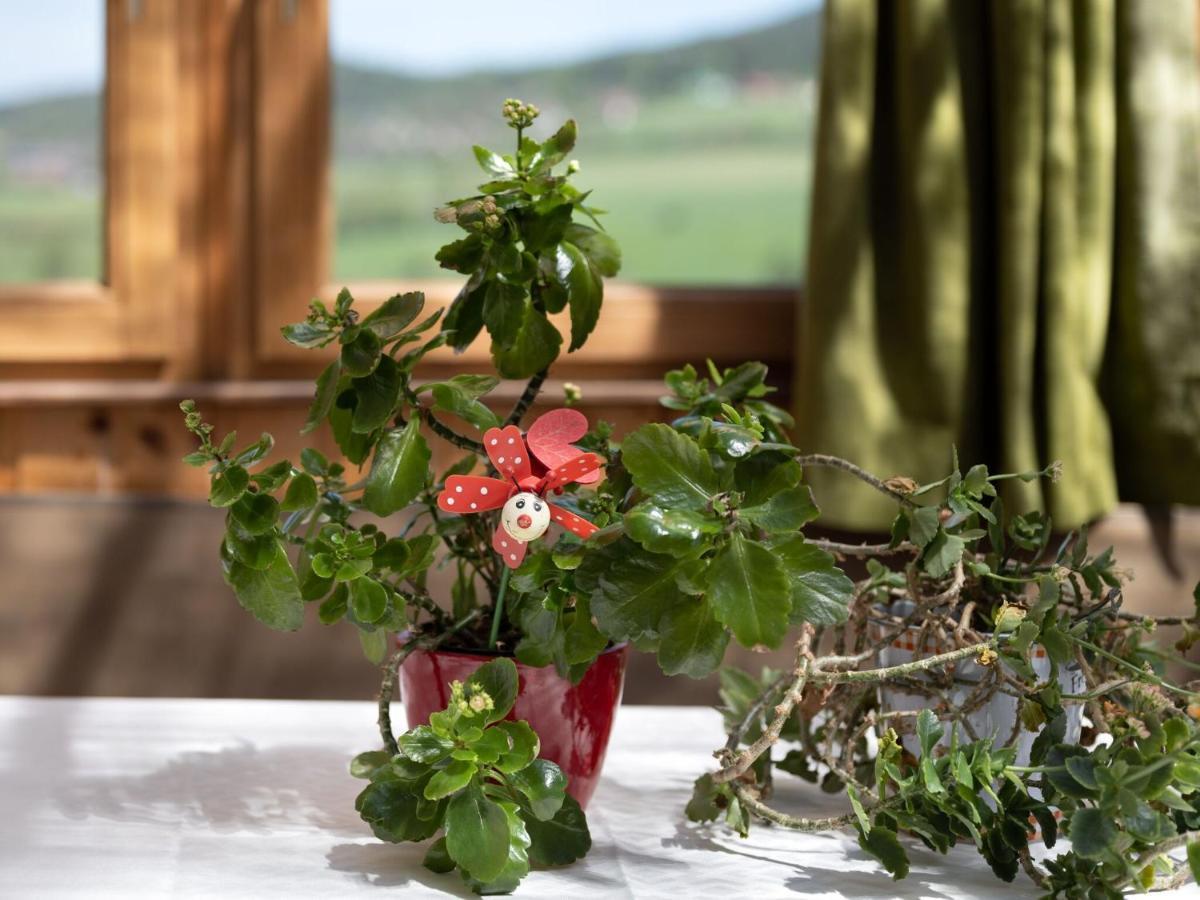 Quaint Holiday Home In Bad K Tzting With Garden Terrace Kötzting Esterno foto